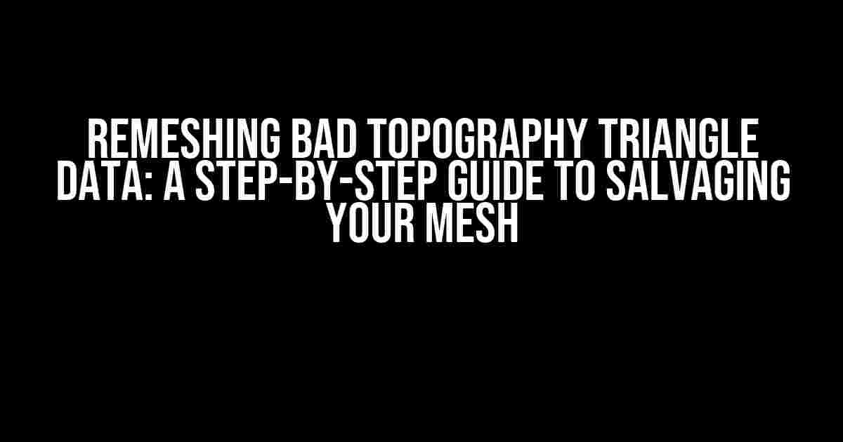 Remeshing Bad Topography Triangle Data: A Step-by-Step Guide to Salvaging Your Mesh